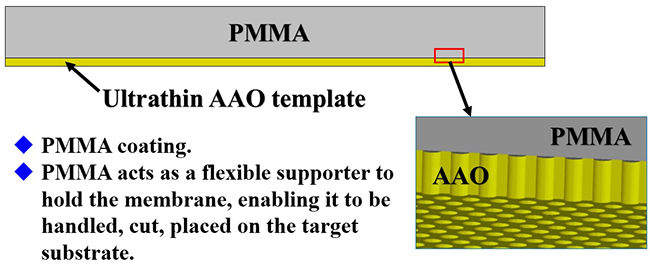 PMMA֧AAOʾD